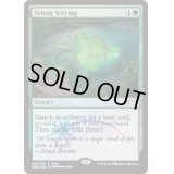 (FOIL)森の占術/Sylvan Scrying《英語》【FNM Promos】