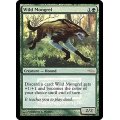 [EX+](FOIL)野生の雑種犬/Wild Mongrel《英語》【FNM Promos】