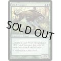 (FOIL)野生の雑種犬/Wild Mongrel《英語》【FNM Promos】