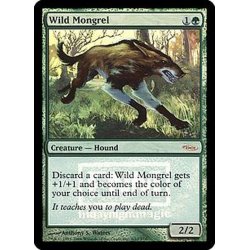 画像1: [EX+](FOIL)野生の雑種犬/Wild Mongrel《英語》【FNM Promos】