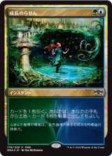 (FOIL)成長のらせん/Growth Spiral《日本語》【FNM Promos】