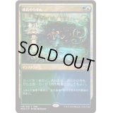 (FOIL)成長のらせん/Growth Spiral《日本語》【FNM Promos】