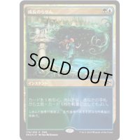 (FOIL)成長のらせん/Growth Spiral《日本語》【FNM Promos】