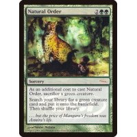 [EX+](FOIL)自然の秩序/Natural Order《英語》【Judge Promos】