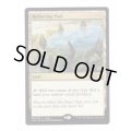 [EX+](FOIL)反射池/Reflecting Pool《英語》【Judge Promos】