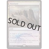 [EX+](FOIL)(2015)不毛の大地/Wasteland《英語》【Judge Promos】