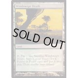 [EX+](FOIL)吹きさらしの荒野/Windswept Heath《英語》【Judge Promos】