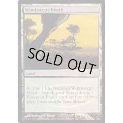 画像1: (FOIL)吹きさらしの荒野/Windswept Heath《英語》【Judge Promos】