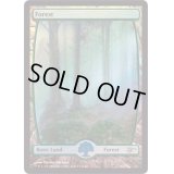 [EX+](FOIL)森/Forest《英語》【Judge Promos】