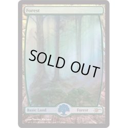 画像1: (FOIL)森/Forest《英語》【Judge Promos】