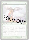 (FOIL)極楽鳥/Birds of Paradise《日本語》【Buy-A-Box Promos】