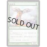 (FOIL)極楽鳥/Birds of Paradise《日本語》【Buy-A-Box Promos】