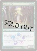 (FOIL)開花の幻霊/Eidolon of Blossoms《日本語》【Buy-A-Box Promos】