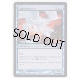 [EX+]幻影のドラゴン/Phantasmal Dragon《日本語》【Media Promos】