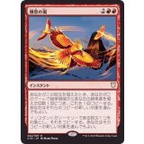 [EX]憤怒の嵐/Fury Storm《日本語》【Commander 2018】