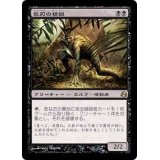 [EX]傷刃の精鋭/Scarblade Elite《日本語》【MOR】