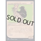 (FOIL)(ショーケース枠)エメラルドの大ドルイド、ハルシン/Halsin, Emerald Archdruid《日本語》【CLB】
