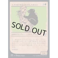 (ショーケース枠)エメラルドの大ドルイド、ハルシン/Halsin, Emerald Archdruid《日本語》【CLB】
