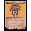 (ショーケース枠)骨の王、マークール/Myrkul, Lord of Bones《日本語》【CLB】