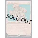 [EX](FOIL)(ショーケース枠)巡歴の学者、ヴォーロ/Volo, Itinerant Scholar《日本語》【CLB】