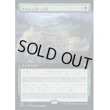 (フルアート)失われた都への旅/Journey to the Lost City《日本語》【CLB】