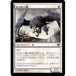 画像1: [EX+]きらめく鷹/Glint Hawk《日本語》【SOM】
