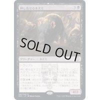 (FOIL)(プロモスタンプ)押し寄せるネズミ/Wave of Rats《日本語》【NCC】