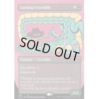 (FOIL)(590)隠れ潜む鰐/Lurking Crocodile《英語》【SLD】