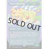 [EX+](FOIL)(308)ティムールの剣歯虎/Temur Sabertooth《英語》【SLD】