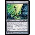 [EX]棘噛みの杖/Thornbite Staff《日本語》【MOR】