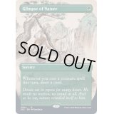 [EX+](FOIL)(2004)垣間見る自然/Glimpse of Nature《英語》【SLC】
