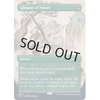 [EX+](FOIL)(2004)垣間見る自然/Glimpse of Nature《英語》【SLC】