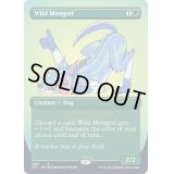 (FOIL)(2001)野生の雑種犬/Wild Mongrel《英語》【SLC】