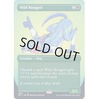 (FOIL)(2001)野生の雑種犬/Wild Mongrel《英語》【SLC】