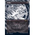 [EX+](エッチングFOIL)(1117)思考囲い/Thoughtseize《日本語》【SLD】
