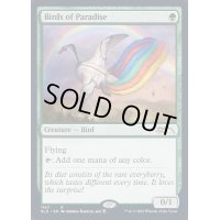 (1147)極楽鳥/Birds of Paradise《英語》【SLD】
