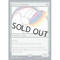 (1148)極楽鳥/Birds of Paradise《英語》【SLD】