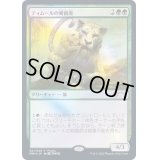 (FOIL)ティムールの剣歯虎/Temur Sabertooth《日本語》【PRM】