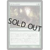 復活の探索/Quest for Renewal《日本語》【WWK】
