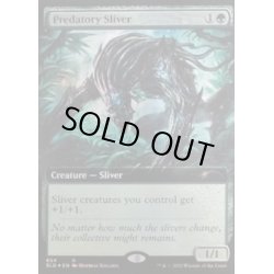 画像1: [EX+](FOIL)(654)捕食スリヴァー/Predatory Sliver《英語》【SLD】