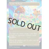 (FOIL)(1231)風変わりな果樹園/Exotic Orchard《英語》【SLD】