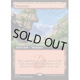 (FOIL)(1361)山/Mountain《英語》【SLD】