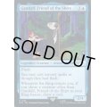 (FOIL)(1294)ホビット庄の友、ガンダルフ/Gandalf, Friend of the Shire《英語》【SLD】