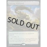 (FOIL)活発な野生林/Stirring Wildwood《英語》【UBT】