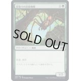 (FOIL)命取りの出家蜘蛛/Deadly Recluse《日本語》【2X2】