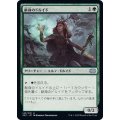 (FOIL)献身のドルイド/Devoted Druid《日本語》【2X2】