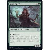 献身のドルイド/Devoted Druid《日本語》【2X2】