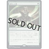 [EX+](FOIL)硬化した鱗/Hardened Scales《日本語》【2X2】