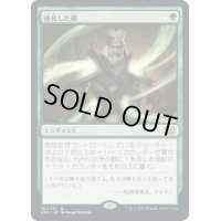 [EX+]硬化した鱗/Hardened Scales《日本語》【2X2】
