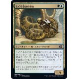 (FOIL)とぐろ巻きの巫女/Coiling Oracle《日本語》【2X2】